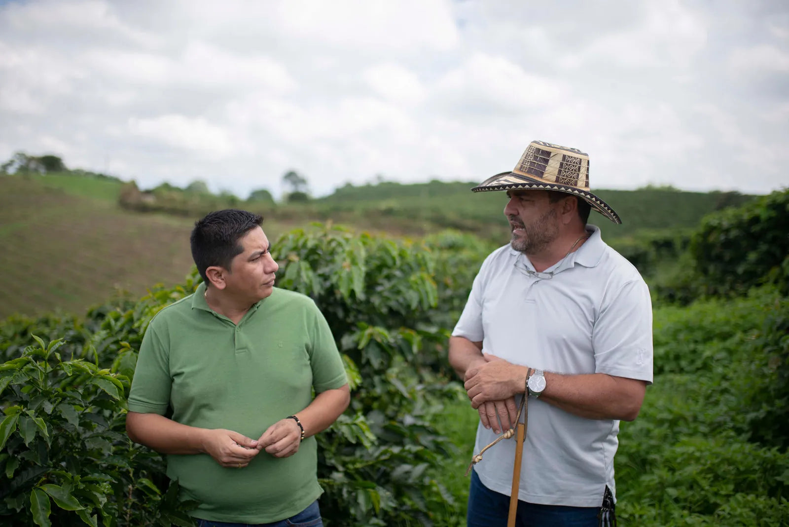 Coffee farm at origin