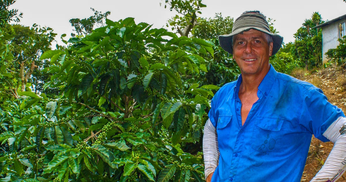 The Folks Coffee Line: Meet Abraço, a Costa Rica Microlot