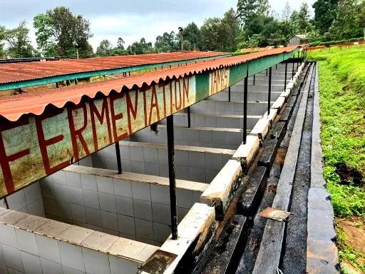 Fermentation, explained at the tank